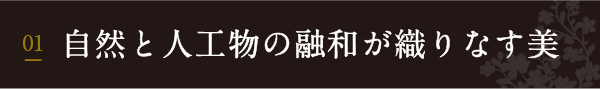 自然と人工物の融和が織りなす美